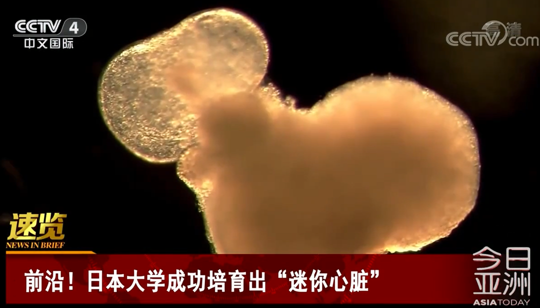 微信图片_20230428162016.png