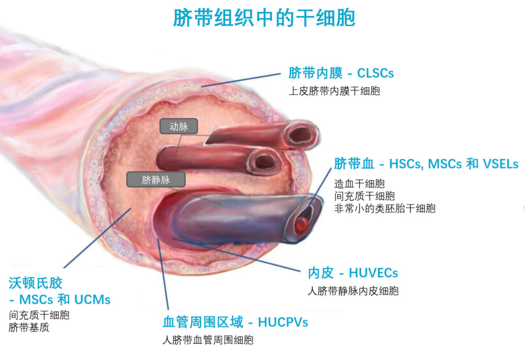 dd93312898ef9df1160a652ee26a2ead.png