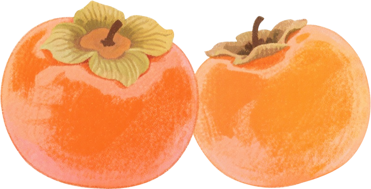 0e61844bd232bcb2f61000a6cfa93b67.png
